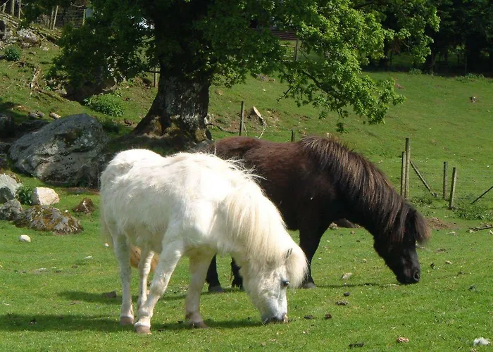 Ardgarry Farm