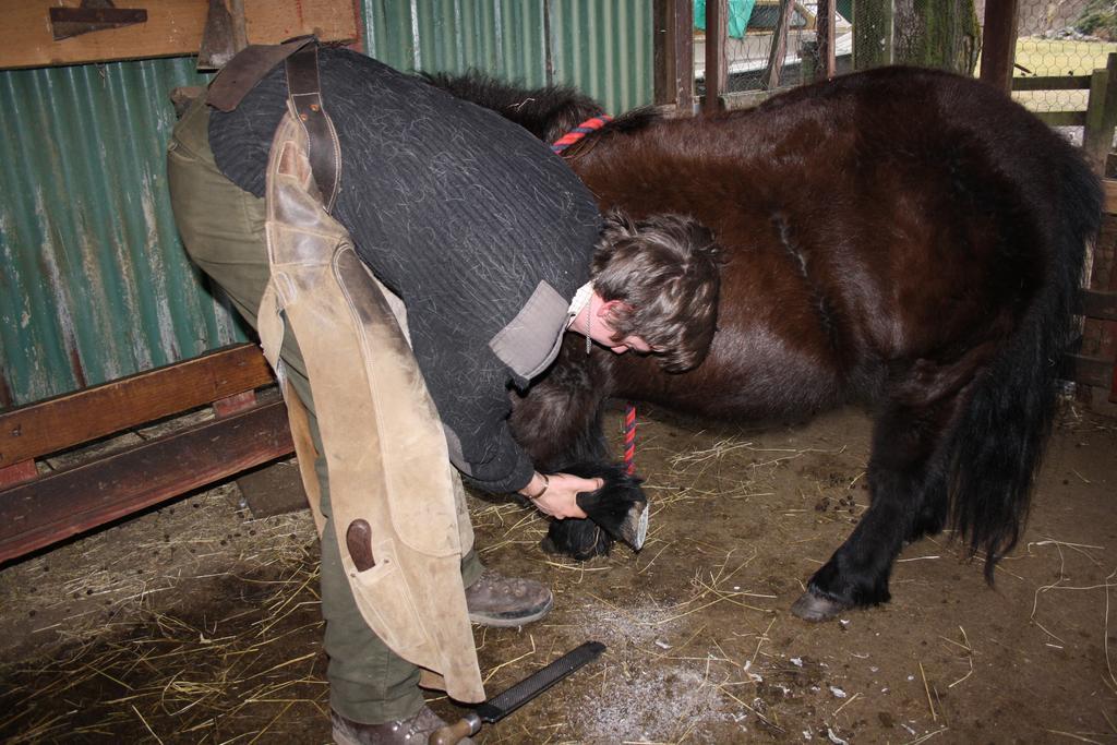 Ardgarry Farm Agroturismo