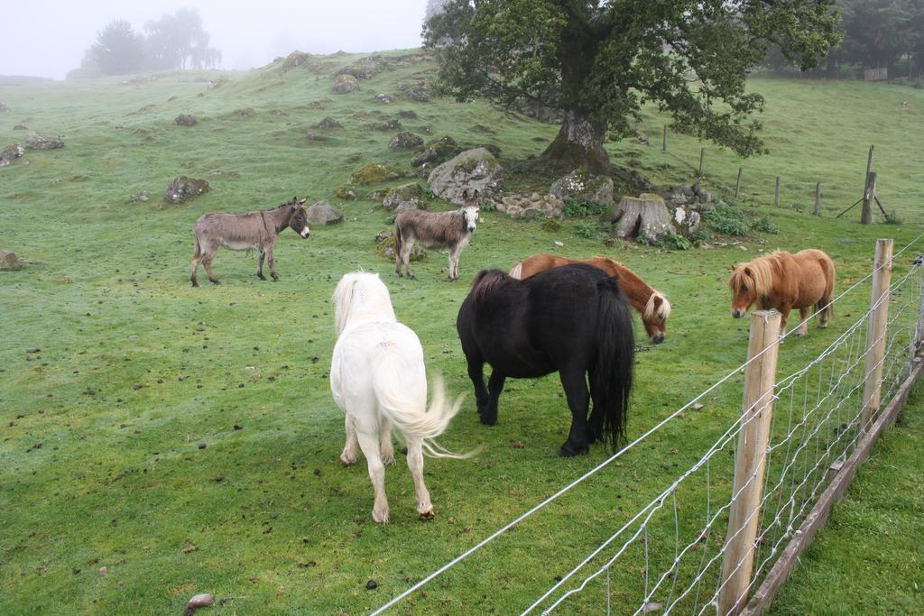 Ardgarry Farm